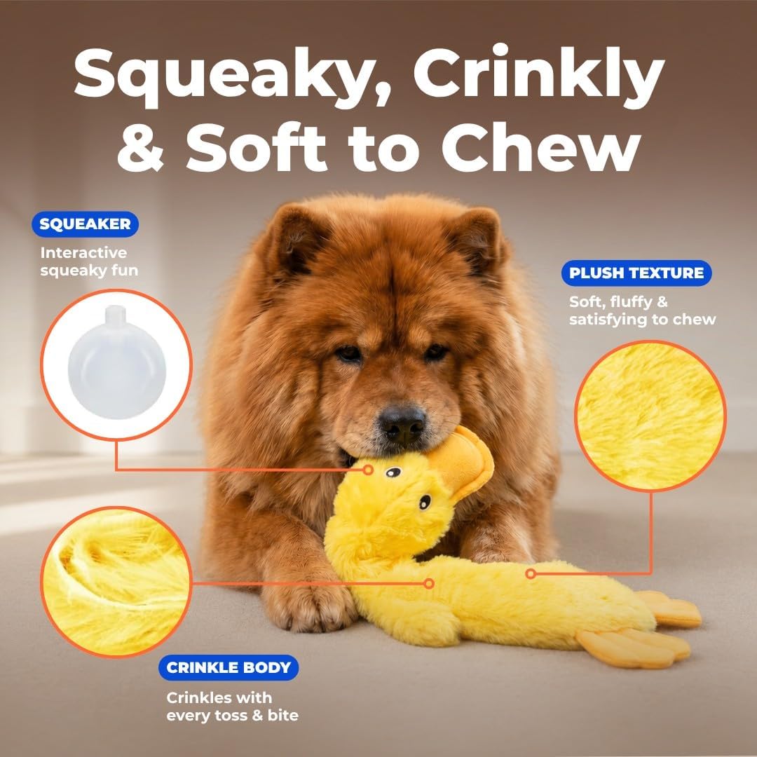 Best Pet Supplies Interactive Squeaky Dog Toy - Crinkle Duck, Yellow