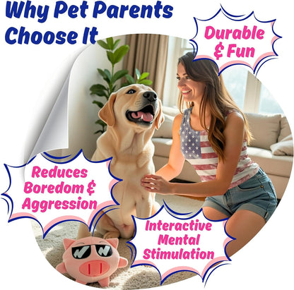 Dog Toy for Aggressive Chewers, Tough Squeaky Chew Ball, Large Breeds Gift