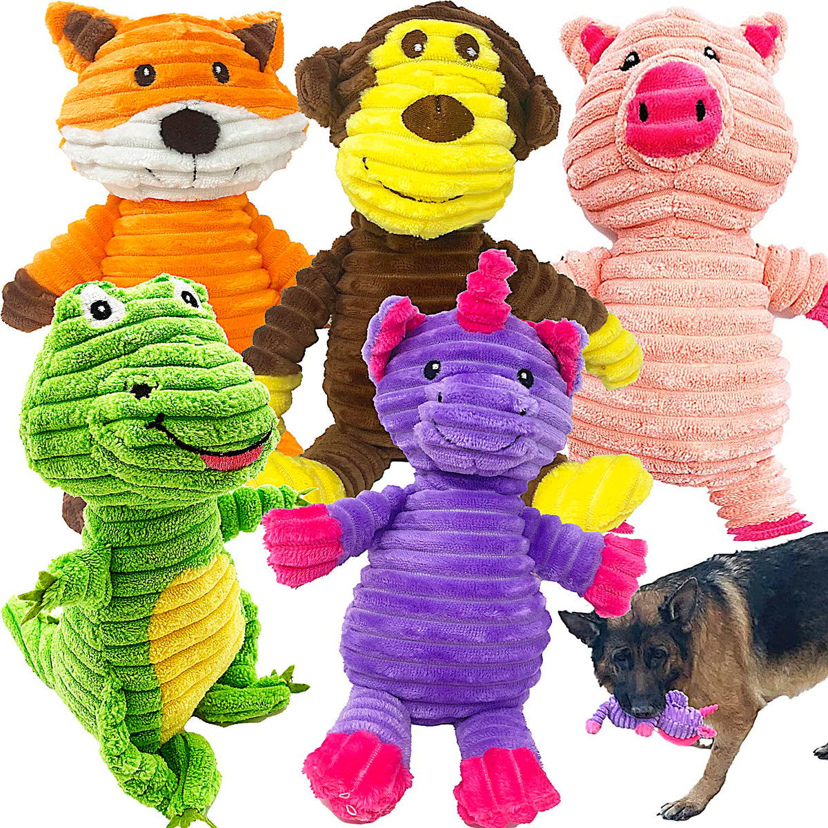 Jalousie Plush Toys Assortment Value Bundle Puppy Pet Mutt Squeak Toy for Medium Large Dogs (5 Pack Knotted)